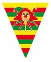 Carnaval vlaggenlijnen 5 meter