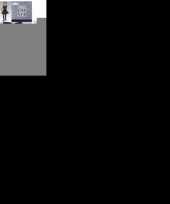 Katten poezen carnavalsaccessoires